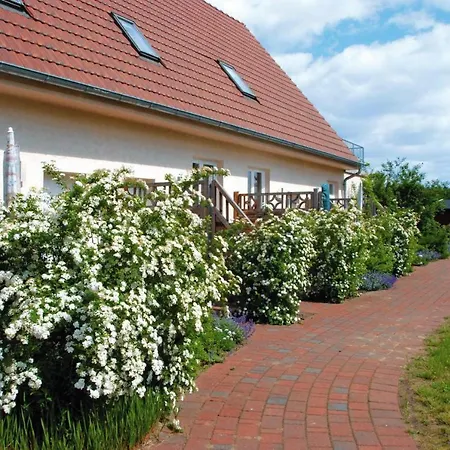 Muritzsee Buchholz - Dms02100-cyb *